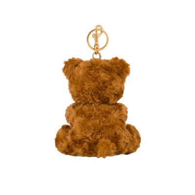 THE TEDDY BEAR CHARM